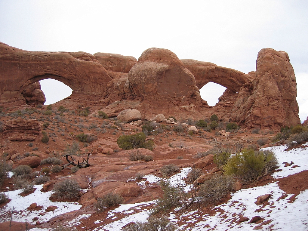 202 Arches - The Windows.jpg
